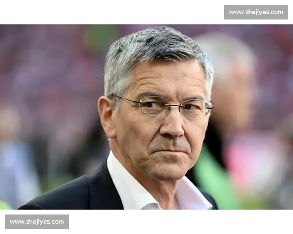 海纳力挺赫内斯：马特乌斯的转会费言论荒谬且不负责任